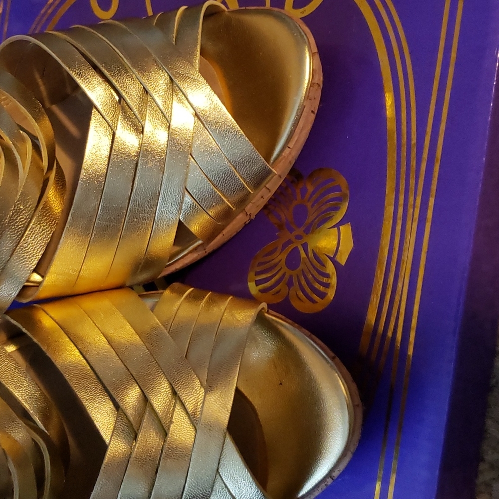 Lux Platforms - Picture 8 of 8